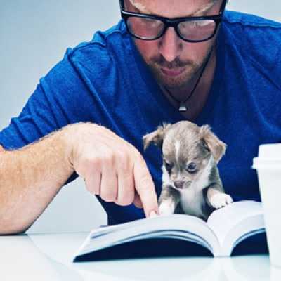 perrito aprendiendo