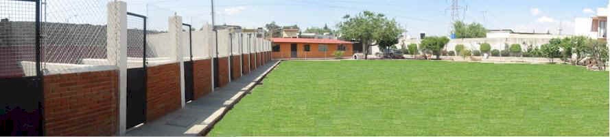escuela para perros